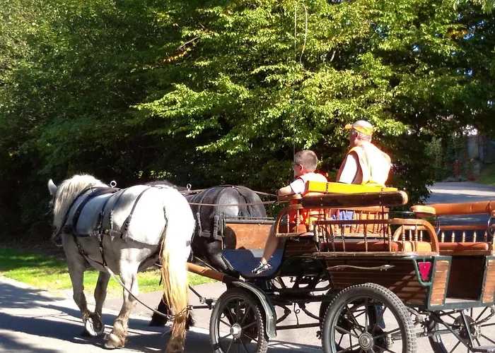 Terrasse De Nature 338 شقة مالميدي